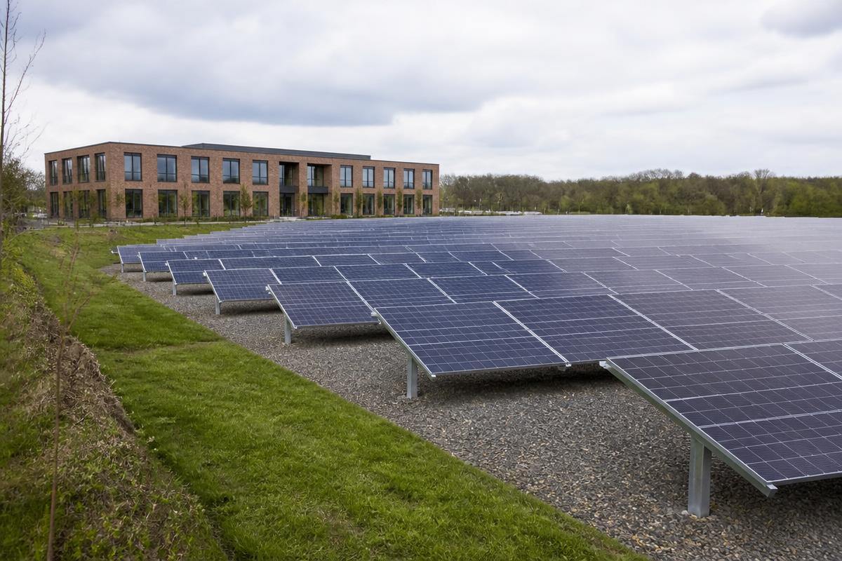 Ground-mounted solar panel array beside Leicestershire Police headquarters